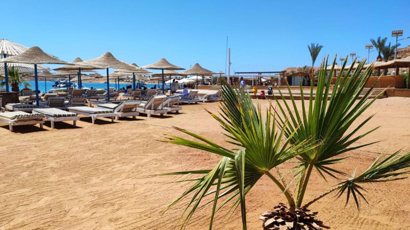Turquoise Beach Hotel 샤름 엘 셰이크 외부 사진